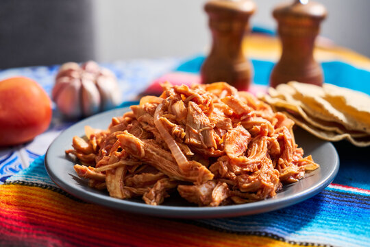 Authentic mexican chicken tinga, typical mexican food