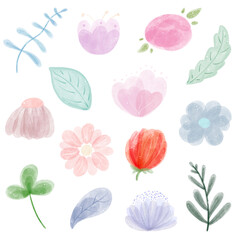 set of flowers watercolor 