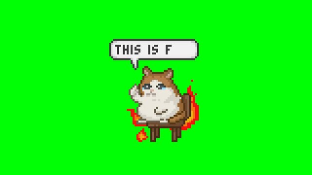 Cat says this is okay, pixel art meme animation 