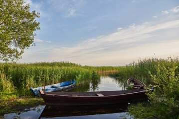 Obraz premium boat on the beautiful river