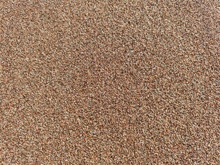Close-up photograph of wet sand, showcasing the rich, smooth texture with subtle reflections from the moisture. The wet surface adds depth and dimension.