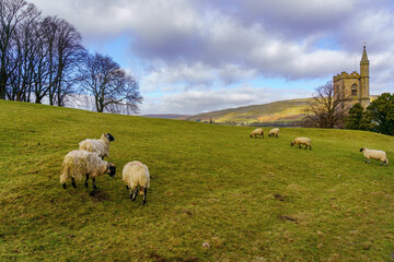 A picturesque landscape featuring sheep grazing on a lush green hillside, under a partly cloudy...