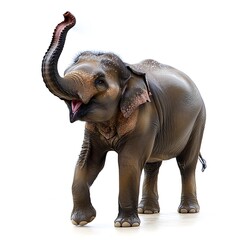 Obraz premium A majestic elephant spraying water from its trunk, isolated on a white background.