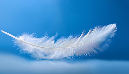 A long, slender cloud gracefully mimics the shape of a feather as it drifts effortlessly through a...