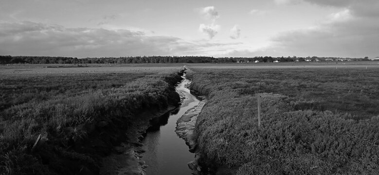 Bachlauf an der K&uuml;ste von Amrum 