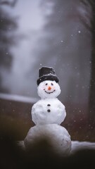 Obraz premium Traditional snowman with black hat and carrot nose in snowy backdrop
