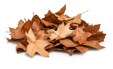 A pile of dried brown leaves isolated on a white background, showcasing the texture and natural earthy tones of autumn.
