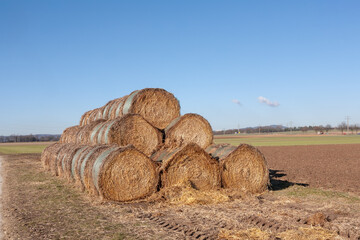 bale of straw at the field