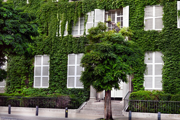 EDIFICIO VINTAGE ANTIGUO CONSTRUCCI&Oacute;N S&Oacute;LIDA