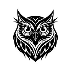 Obraz premium owl on a white background