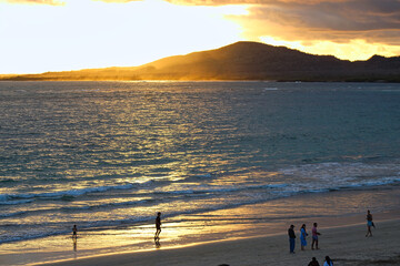 Blue-Footed Boobies in their Nest with their baby on Isla Isabela on Galapagos Archipelago, Ecuador