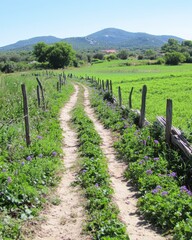 Fototapeta premium Transforming a Barren Field Into a Thriving Food Forest Showcases Nature's Potential