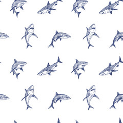 Obraz premium Shark, seamless, pattern, set of illustrations, realistic sketch, hand drawn vector