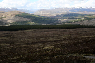 Obraz premium Ascent to Ben Wyvis along the Allt a' Bhealaich Mhoir stream - Ross and Cromarty - Scotland - UK