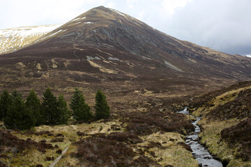Ascent to Ben Wyvis along the Allt a' Bhealaich Mhoir stream - Ross and Cromarty - Scotland - UK