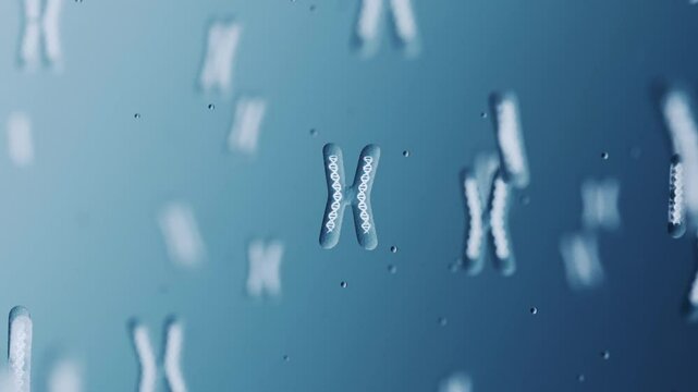 X Chromosomes with DNA helix inside under microscope. Human chromosome. Healthcare Science, Medical Animation.