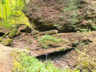 Fototapeta premium Hiking small falls trail at Turkey Run State, Indiana 