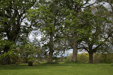 Obraz premium Cawdor Castle garden - Nairn - Highlands - Scotland - UK