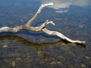 Forest and surrounding around Loch Kinord - Between Ballater and Dinnet - Aberdeenshire - UK