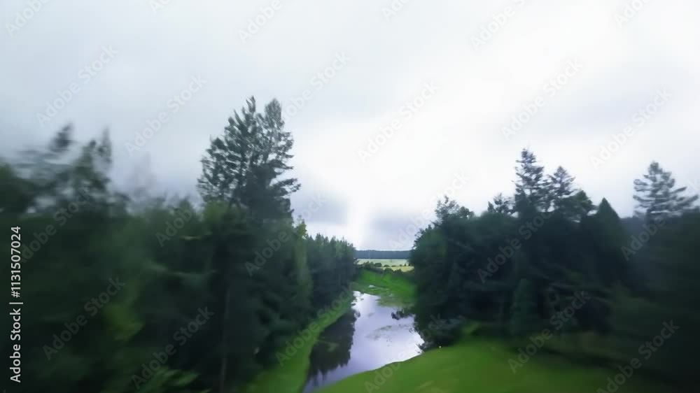 Poster lightning bolt strikes a tree in a forest. the sky is dark and cloudy, and the trees are tall and gr