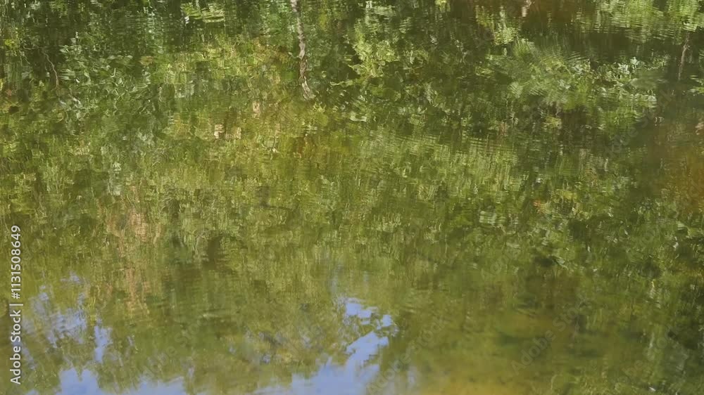 Poster the forest comes alive in the water's reflection, creating a tranquil and mesmerizing scene. the gen