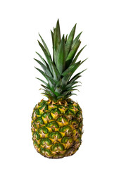 Fototapeta premium Isolated Pineapple on White Background