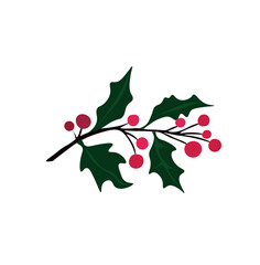 Christmas Illustration. Holly christmas plant. Illustration of holly branch with berries. Merry Christmas and Happy New Year plant. Holiday design. Christmas mistletoe decoration plant ornament 
