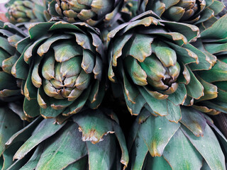 ripe artichoke at the market close-up