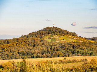 Weinberge mit Südhang im Herbst