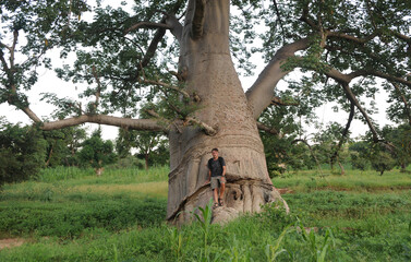 Man leaning on baobab tree located on the Bandiagara Fault in Mali, Africa