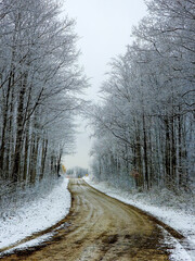 A country gravel road in the winter, snow along the sides, between trees covered in heavy frost, on an overcast day.