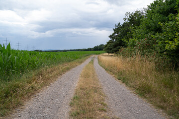 Obraz premium Dirt road in the country