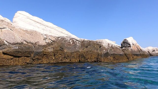 Snorkeling on the edge of an ancient quarry Aliki, Thassos island, and the sudden appearance of a school of large Medregal fish (Mediterranean amberjack, Seriola carpenteri), makin circle around the d