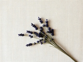 Faintly textured canvas in beige, accented with dried lavender sprigs for a soft, vintage-inspired look