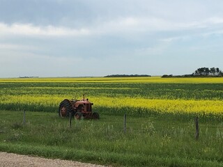 Obraz premium tractor in yellow field