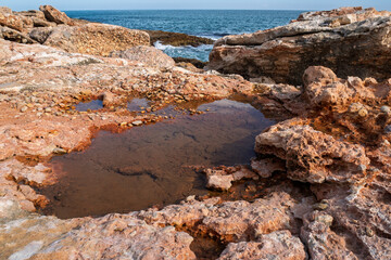 Am Ufer des Mittelmeers im Naturpark Serra d'Irta bei Alcossebre, Provinz Castellón, Autonome...