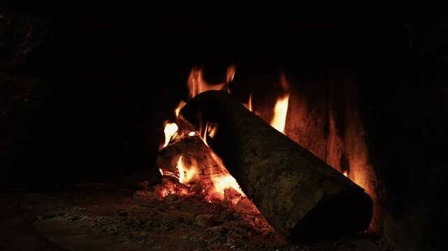Wood of holm oak and olive tree burning inna fireplace 
