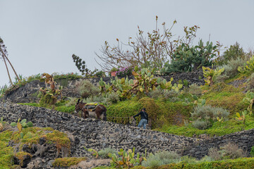 volcanic landscape on the island of Stromboli