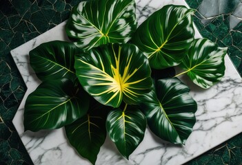 Obraz premium elegant flat lay display lush green plant leaves smooth marble surface capturing rhythms harmonious design, botanical, greenery, plants, foliage, decor