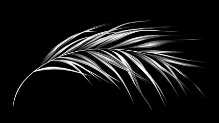Obraz premium Shadowplay: palm leaf minimalism