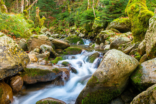 Tranquil Dirfi Mountain Landscape with Cascading Creek in Evia, Greece