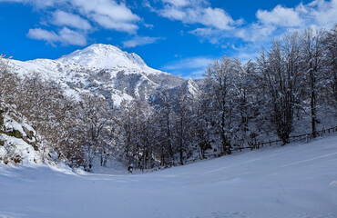 Obraz premium Snowy landscape at Redes Natural Park, Tiatordos Peak, 1951 meters in backgorund, Asturias, Spain