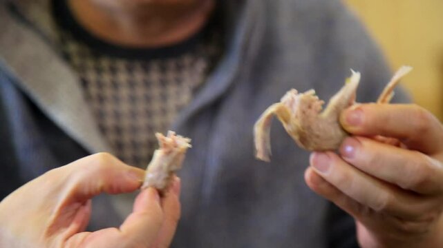 젓가락으로 삶은 닭을 찢는 사람