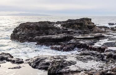 Obraz premium Rocky Ocean Coastline with Tide Pool Features at Botanical Beach