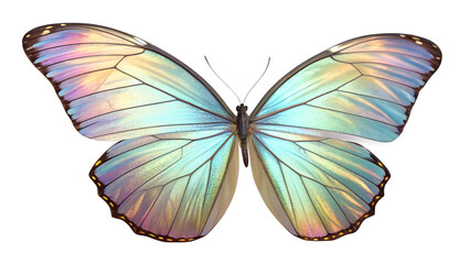 Obraz premium A vibrant, iridescent butterfly with semi-transparent wings shimmering in hues of blue, gold, and purple, symbolizing beauty, nature, and transformation. PNG
