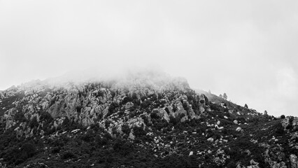 fog in the mountains of Corsica