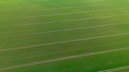 Farmlands from a bird's eye view