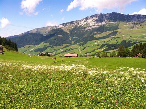 View of Amden meadow in Switzerland