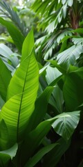 Obraz premium Tropical green leaves in a lush and verdant background, dense foliage, lush