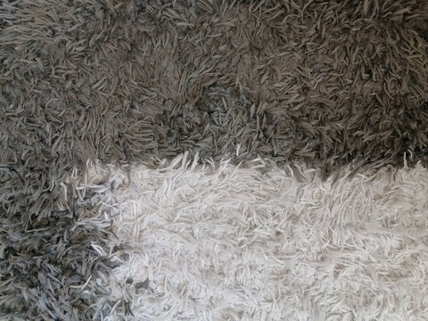 Black and White Shaggy Carpet